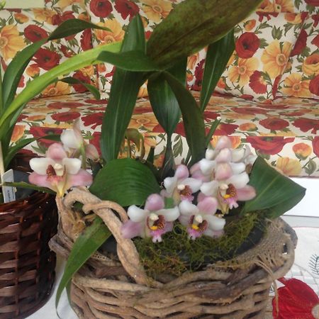 Pousada Beija Flor Gramado Eksteriør bilde