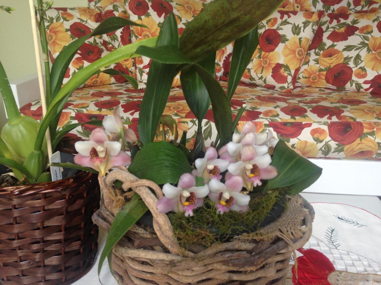 Pousada Beija Flor Gramado Eksteriør bilde